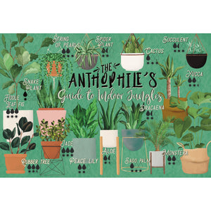 The Anthophile’s guide to Indoor Jungles
